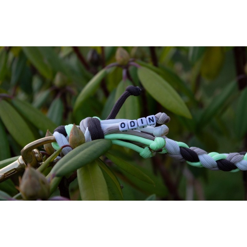 Leash personalization