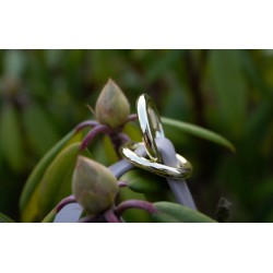 Biothane Leash 25mm (KuGP)