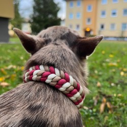 Halsband Artemis (KuGP)