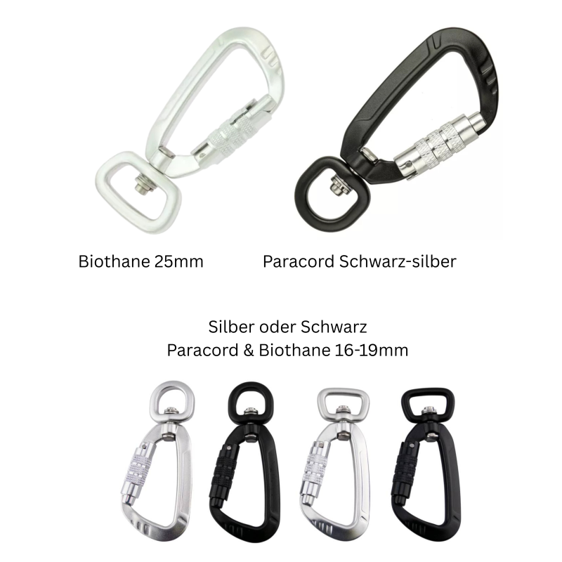 Sicherheitskarabiner