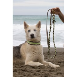 Leash Linéa x Biothane Midnight