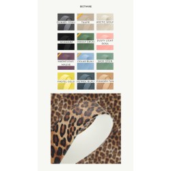 Traffic short leash Leo