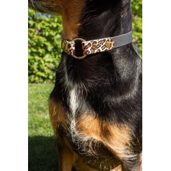 Tag Collar Leo