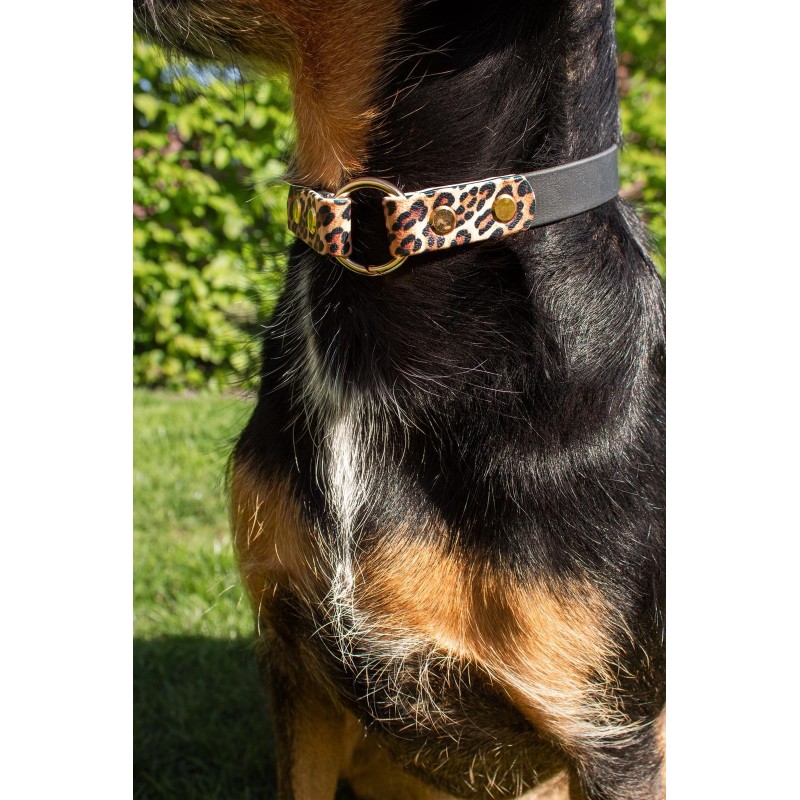 Tag Collar Leo