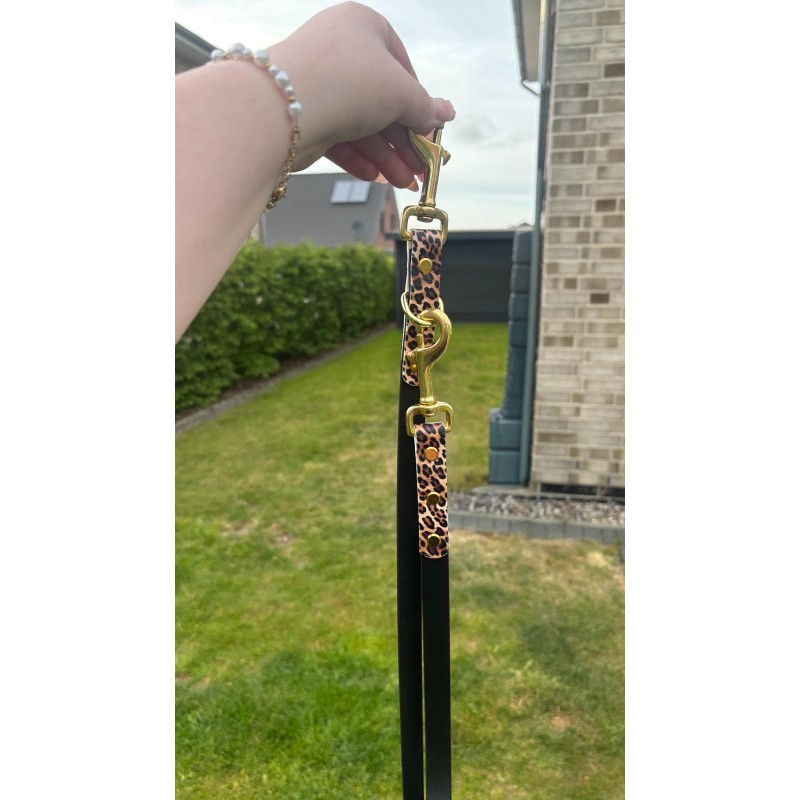 Tracking leash Leo