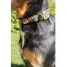 Halsband Leo