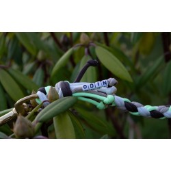 Leine Linéa x Biothane Midnight