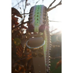 Collar Stay x Midnight