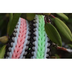 Collar Stay x Midnight